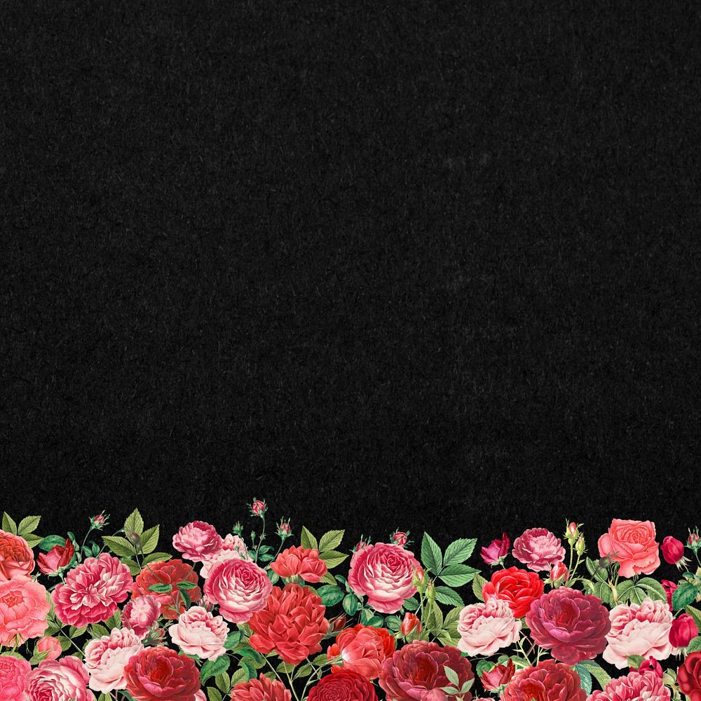 Valentine's flower border background, pink roses illustration, editable design