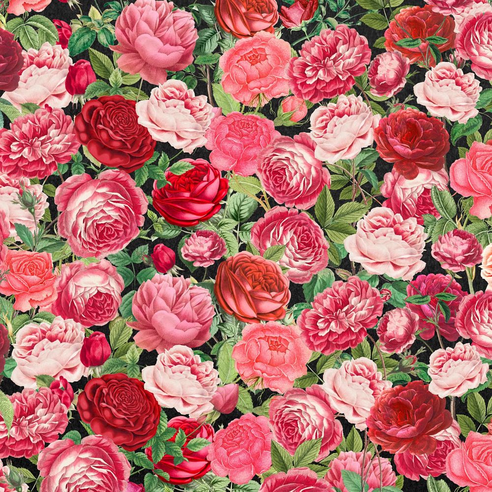 Pink rose pattern background, Valentine's flower illustration, editable design