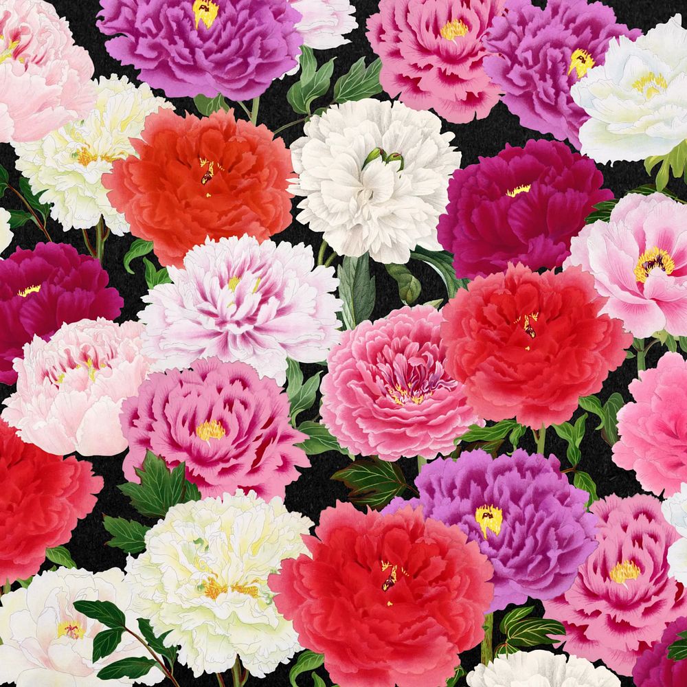 Colorful carnation flowers background, botanical pattern illustration, editable design