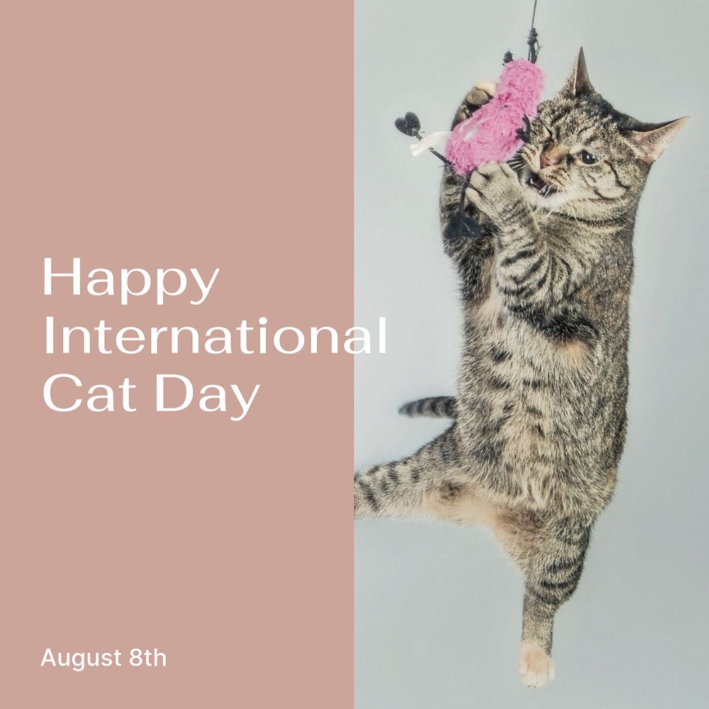 International cat day Facebook post template, editable social media ad