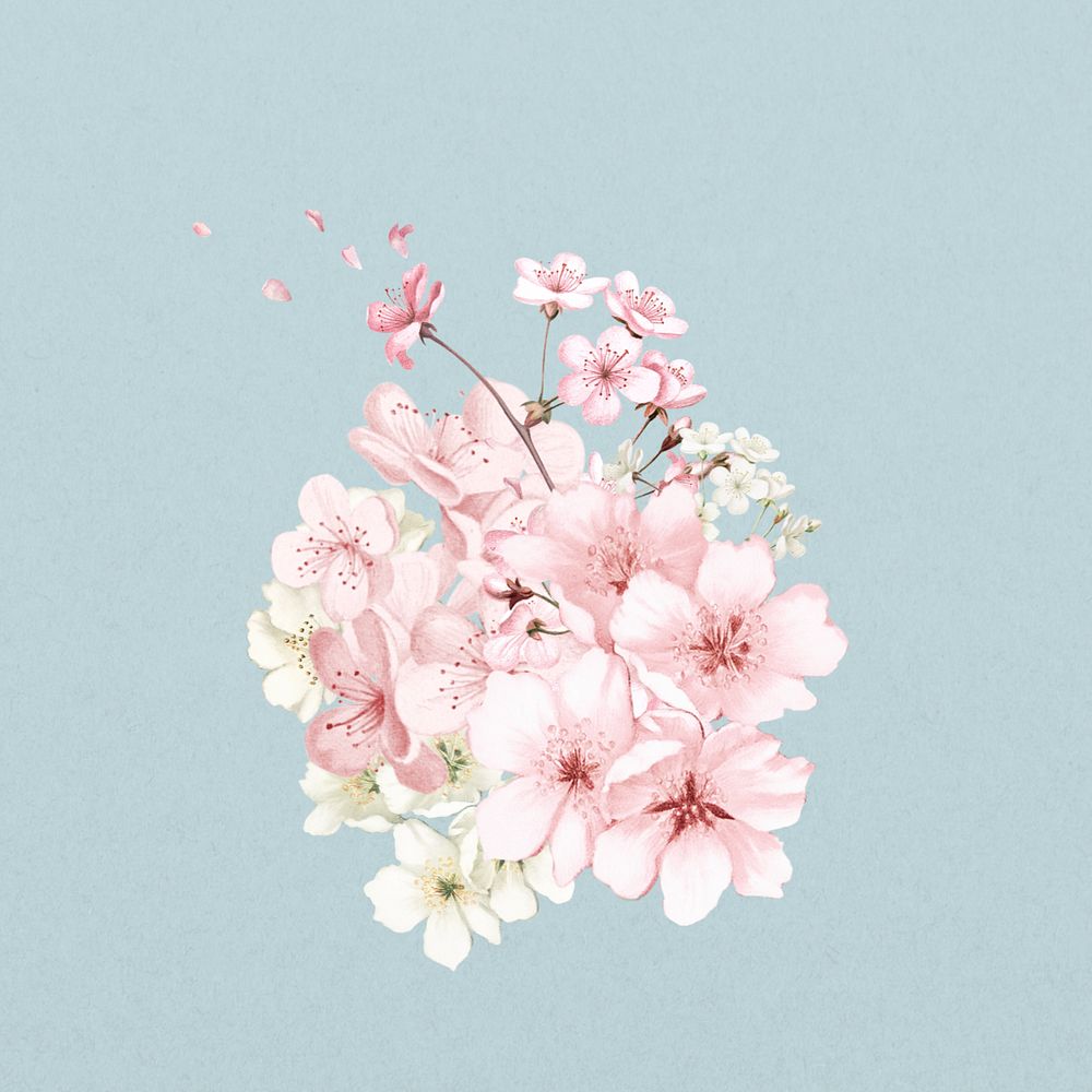 Japanese cherry blossom flower, botanical illustration, editable design