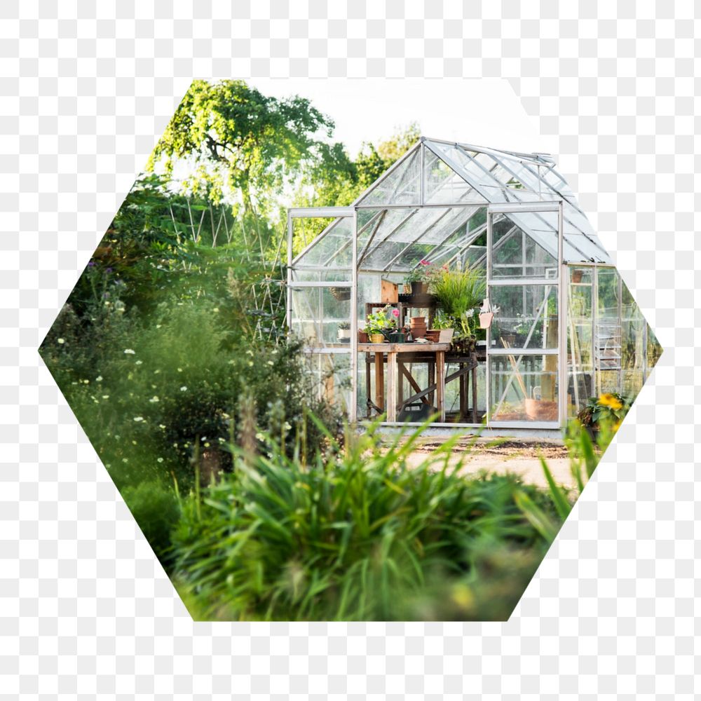 Glass greenhouse  png hexagonal  sticker, transparent background