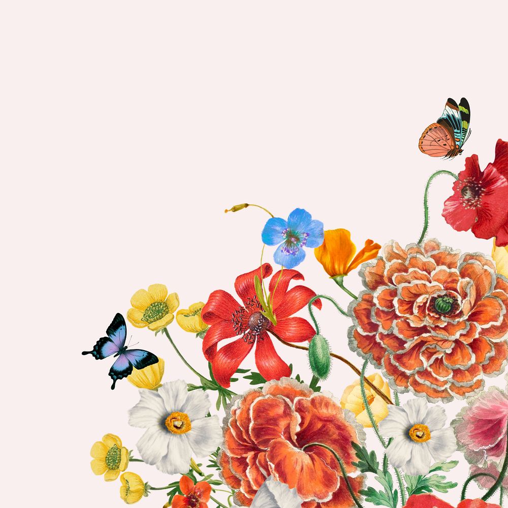 Colorful Summer flowers background, aesthetic botanical border, editable design