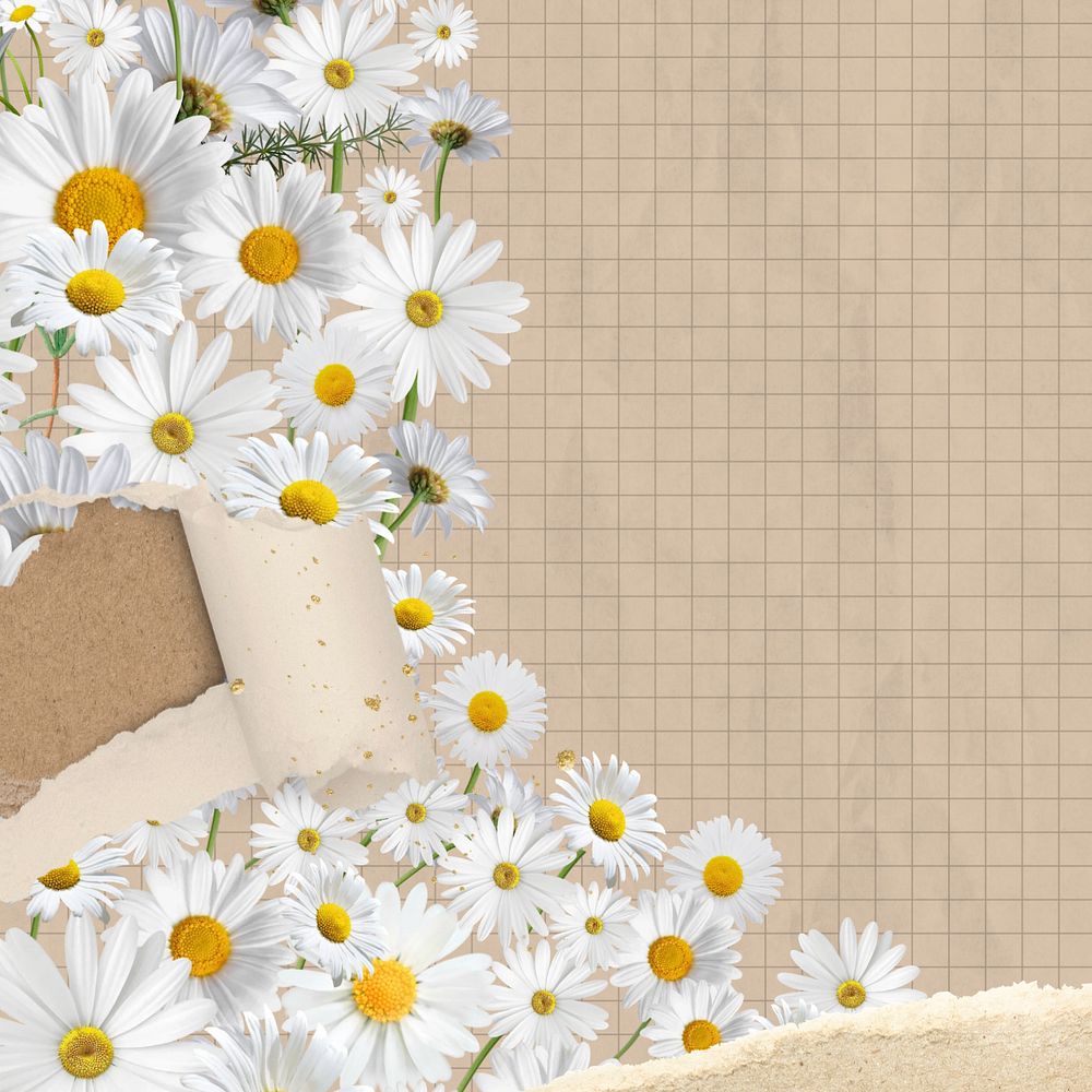 Ripped paper daisy background, grid patterned design, editable design
