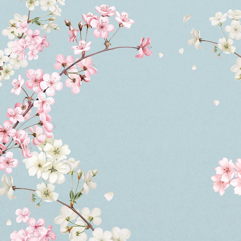 Japanese cherry blossom background, pink flowers illustration, editable design