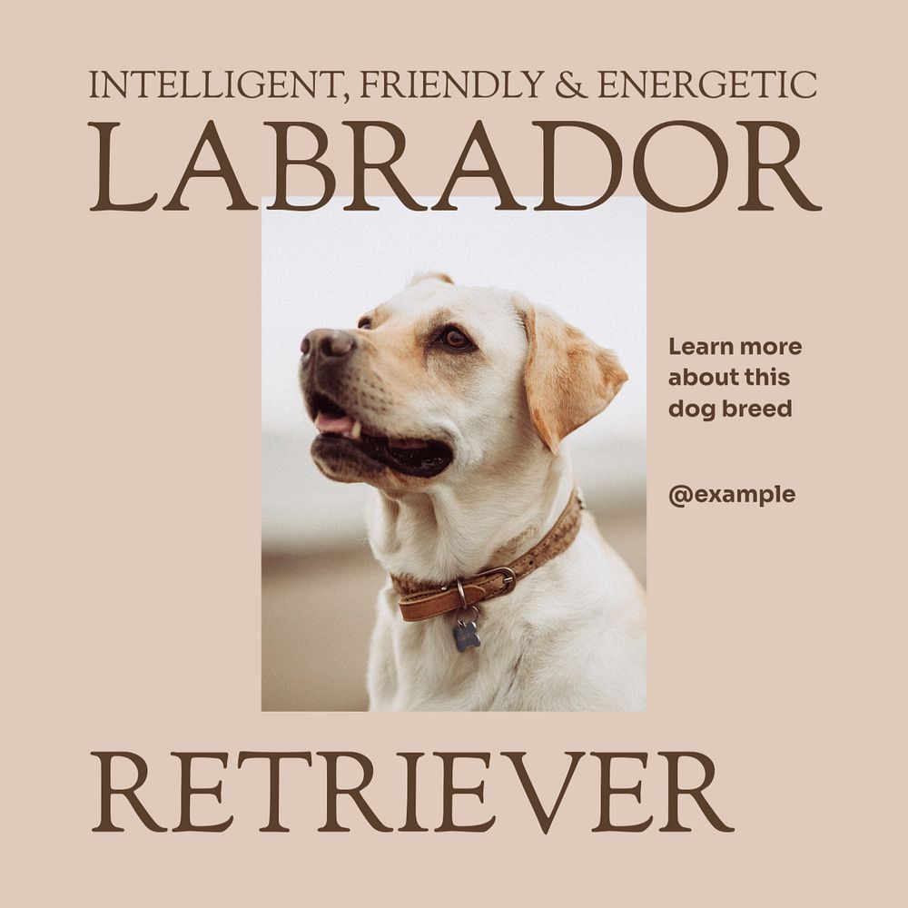 Labrador retriever Facebook post template, editable social media ad