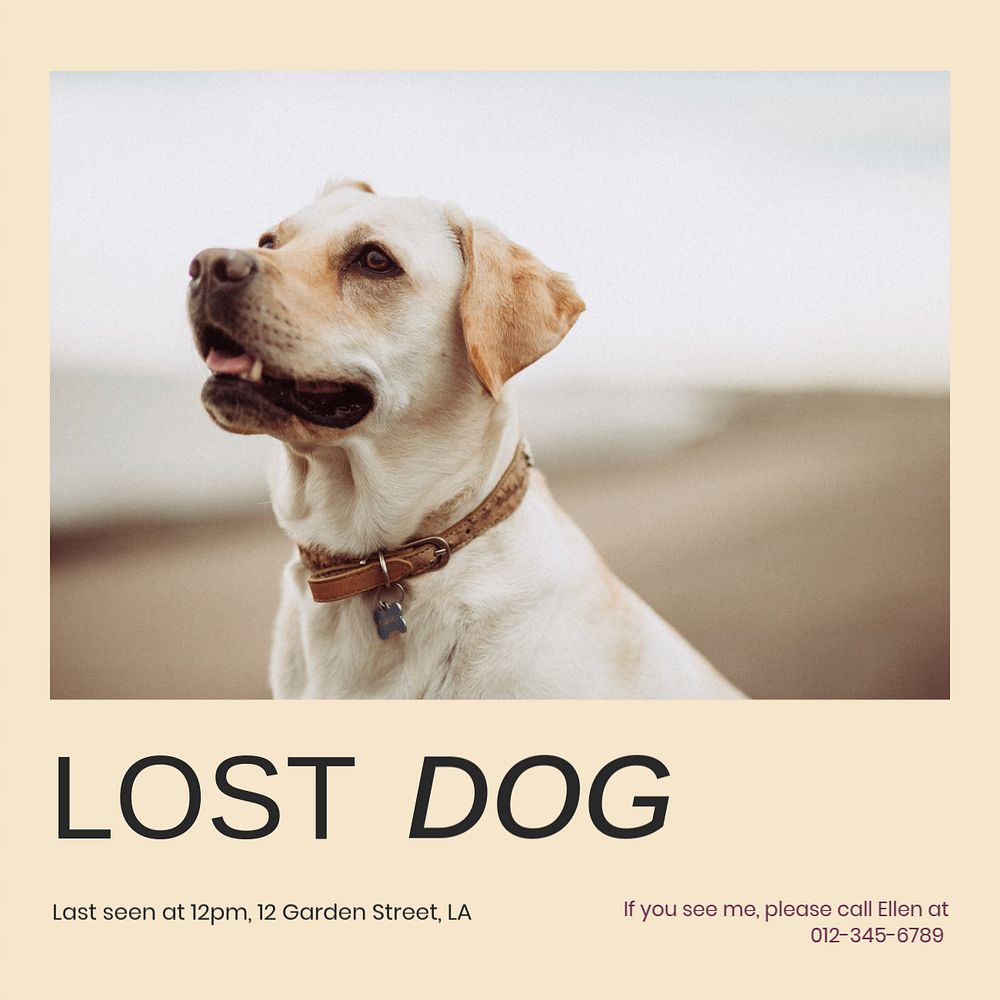 Lost dog Facebook post template, editable social media ad