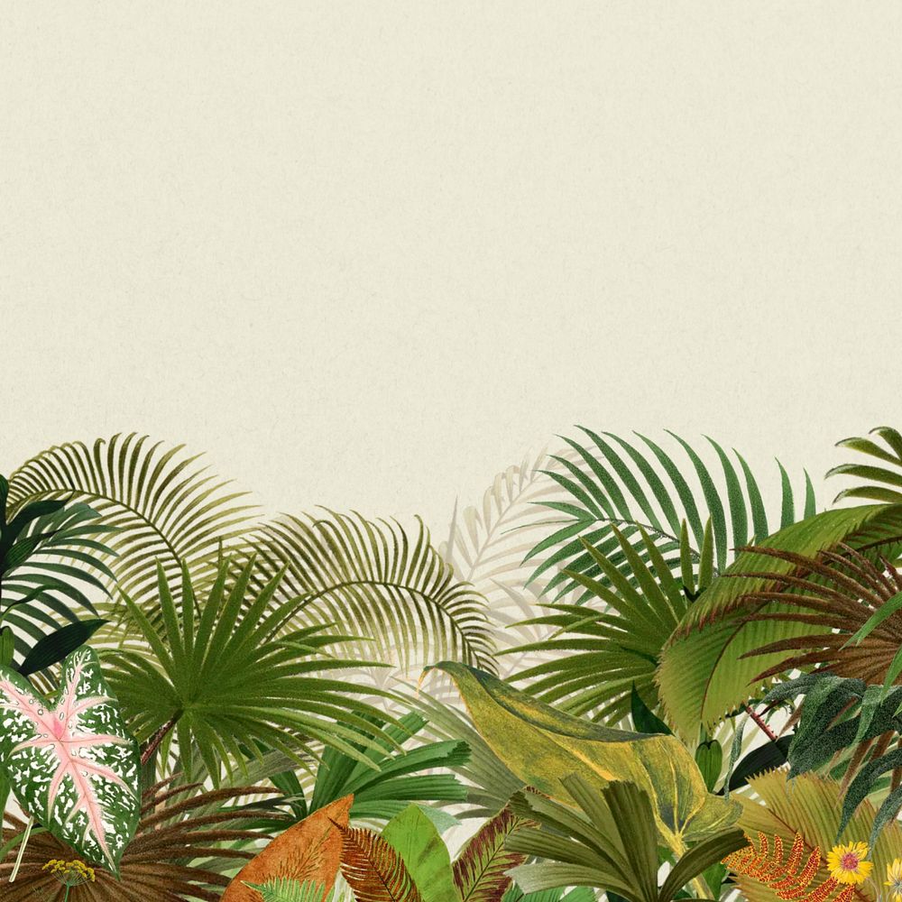 Tropical palm trees background, botanical illustration, editable design