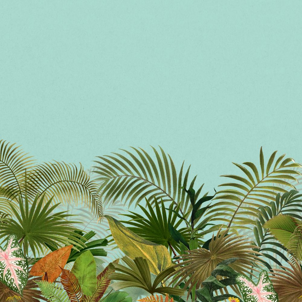 Tropical palm trees background, botanical border, editable design