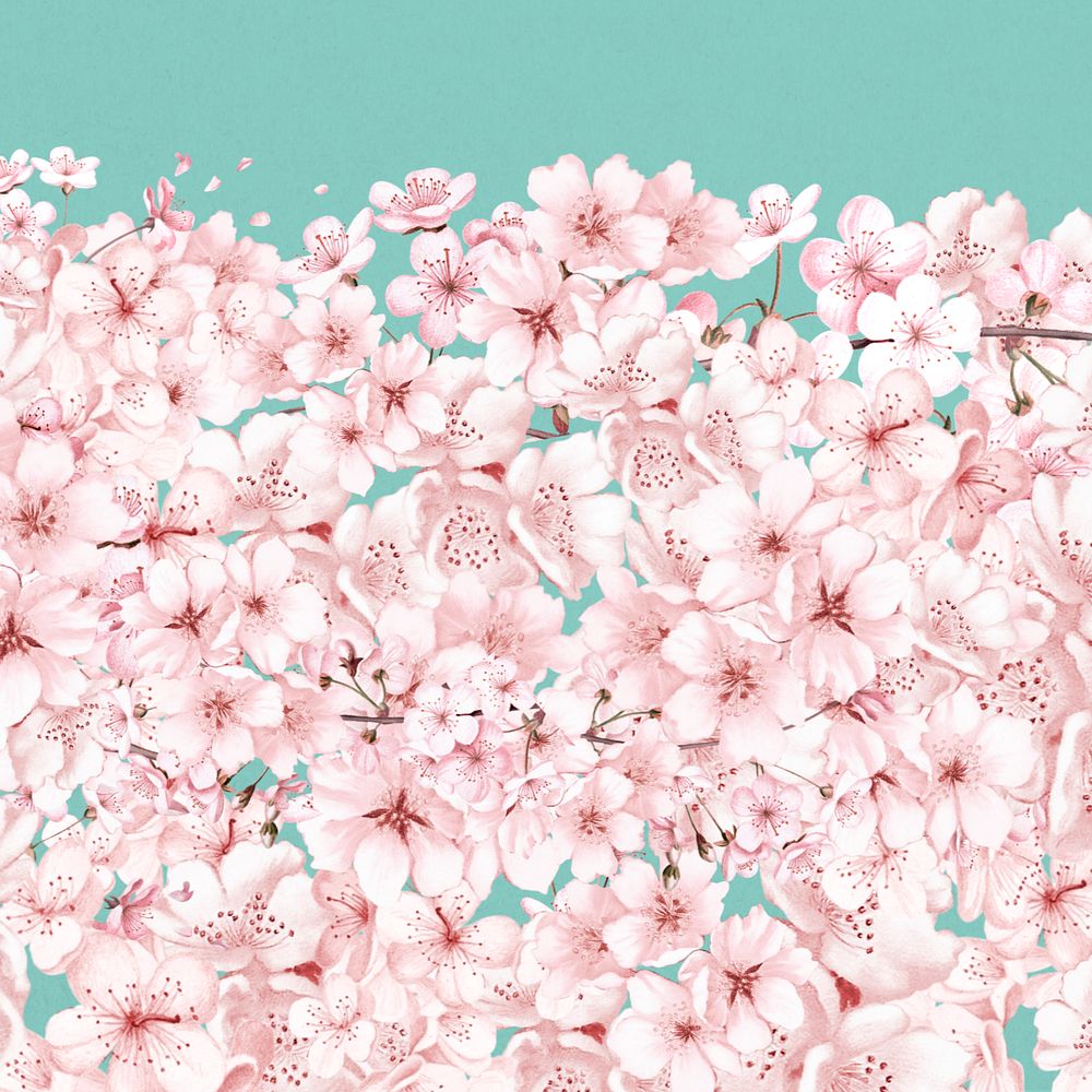 Japanese Sakura flower background, pink botanical illustration, editable design