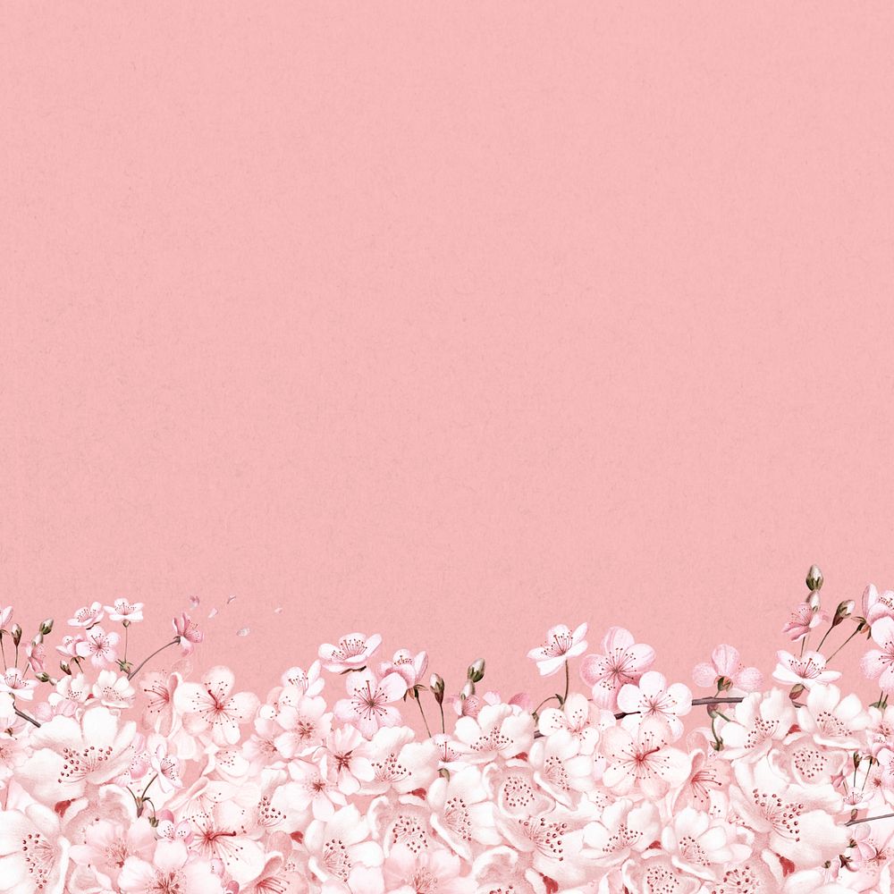 Japanese Sakura flower background, pink botanical illustration, editable design