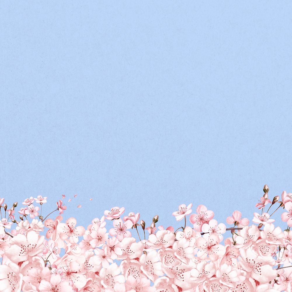 Japanese Sakura flower background, pink botanical illustration, editable design