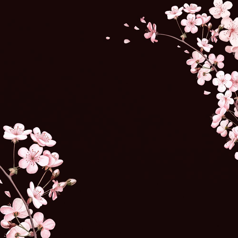 Japanese cherry blossom background, pink flowers illustration, editable design