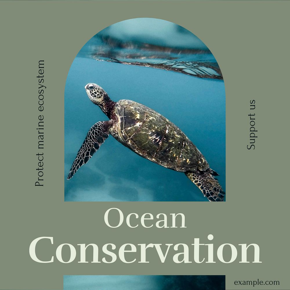 Ocean conservation Facebook post template, editable social media ad