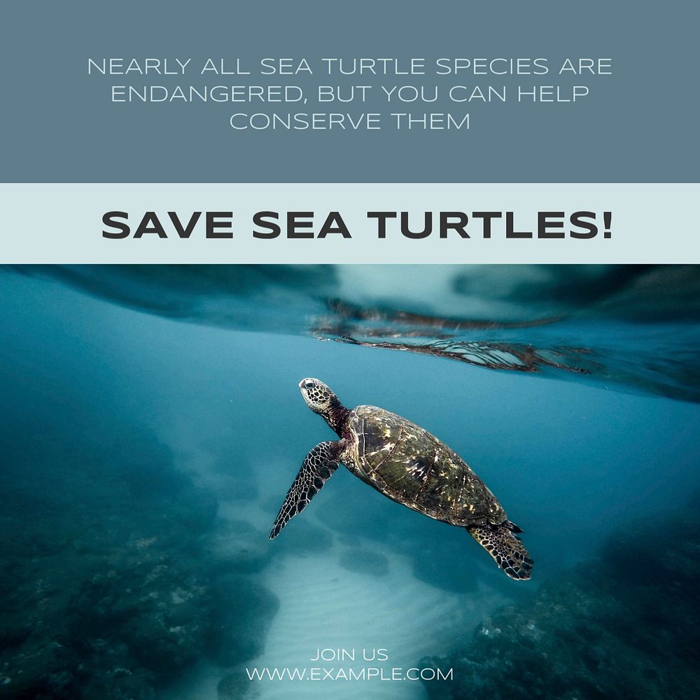 Save sea turtles Facebook post | Premium Editable Template - rawpixel