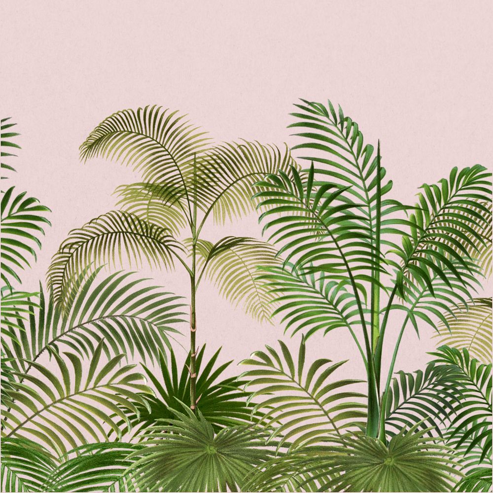 Tropical palm trees background, botanical border, editable design