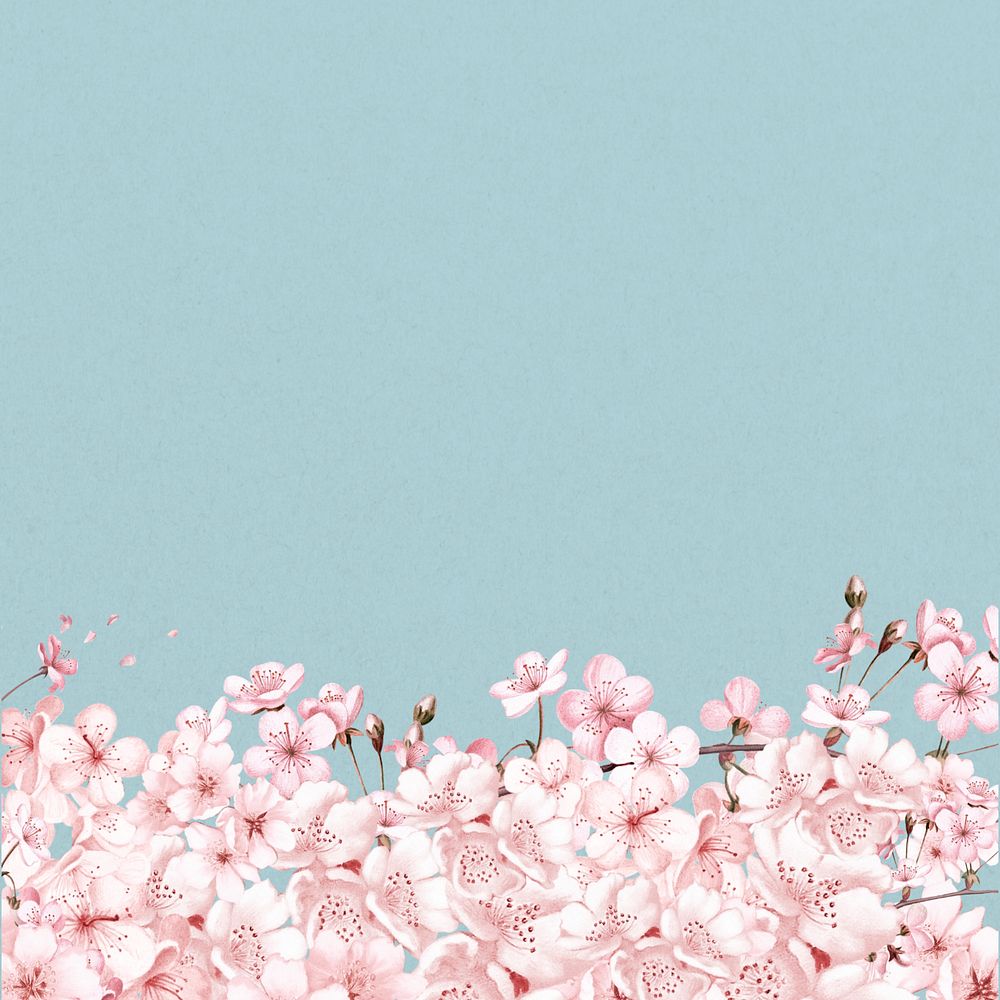 Japanese cherry blossom background, pink flowers illustration, editable design