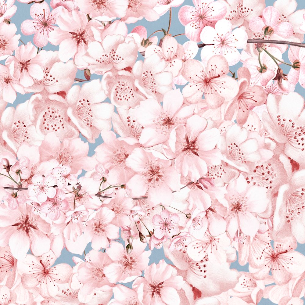 Spring cherry blossom flower pattern, pink botanical illustration, editable design