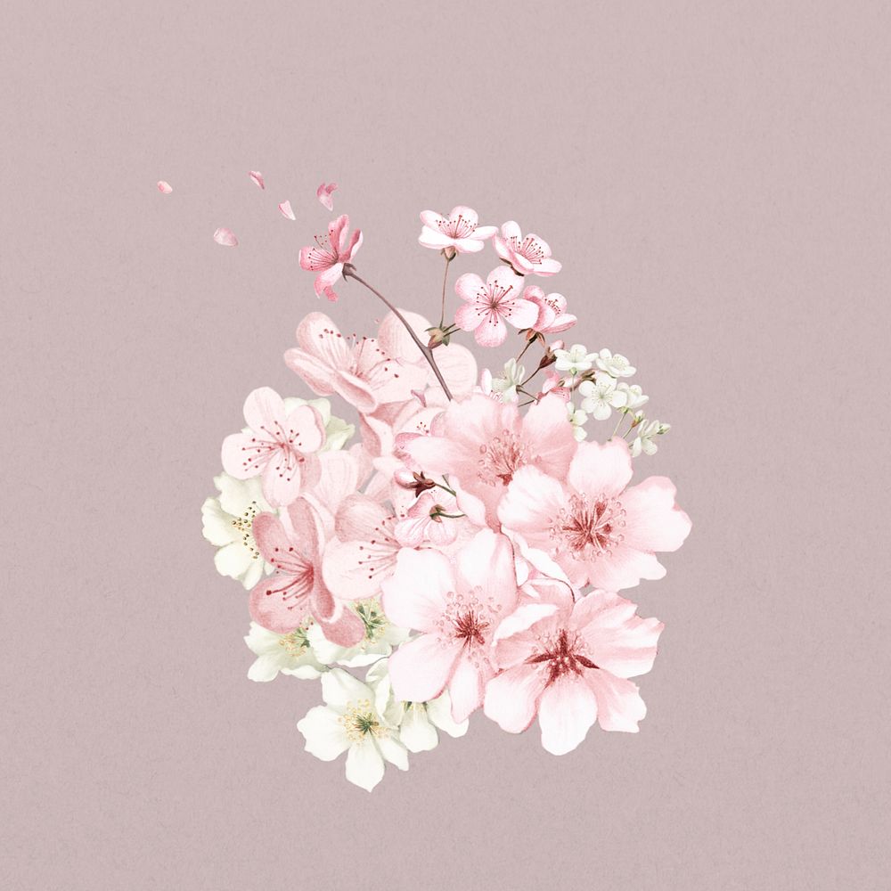 Japanese cherry blossom flower, botanical illustration, editable design