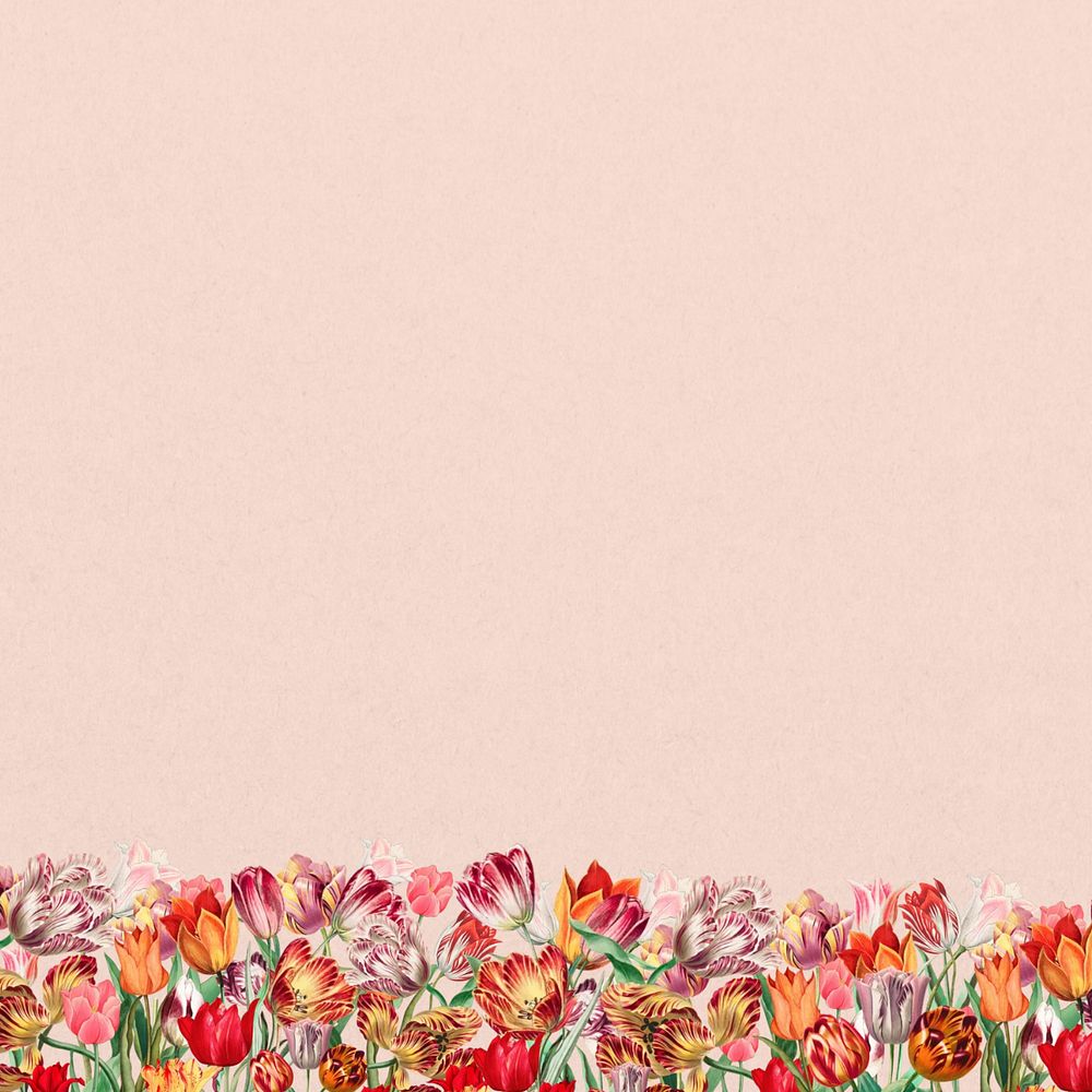 Pink exotic flowers background, colorful botanical border, editable design