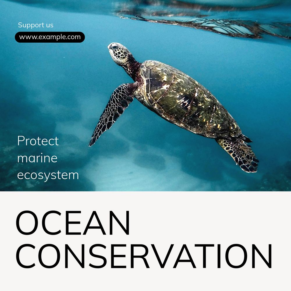 Ocean conservation Instagram post template, editable text