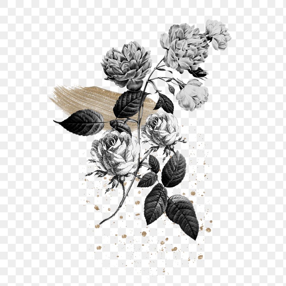 Vintage rose flower, botanical illustration, editable design