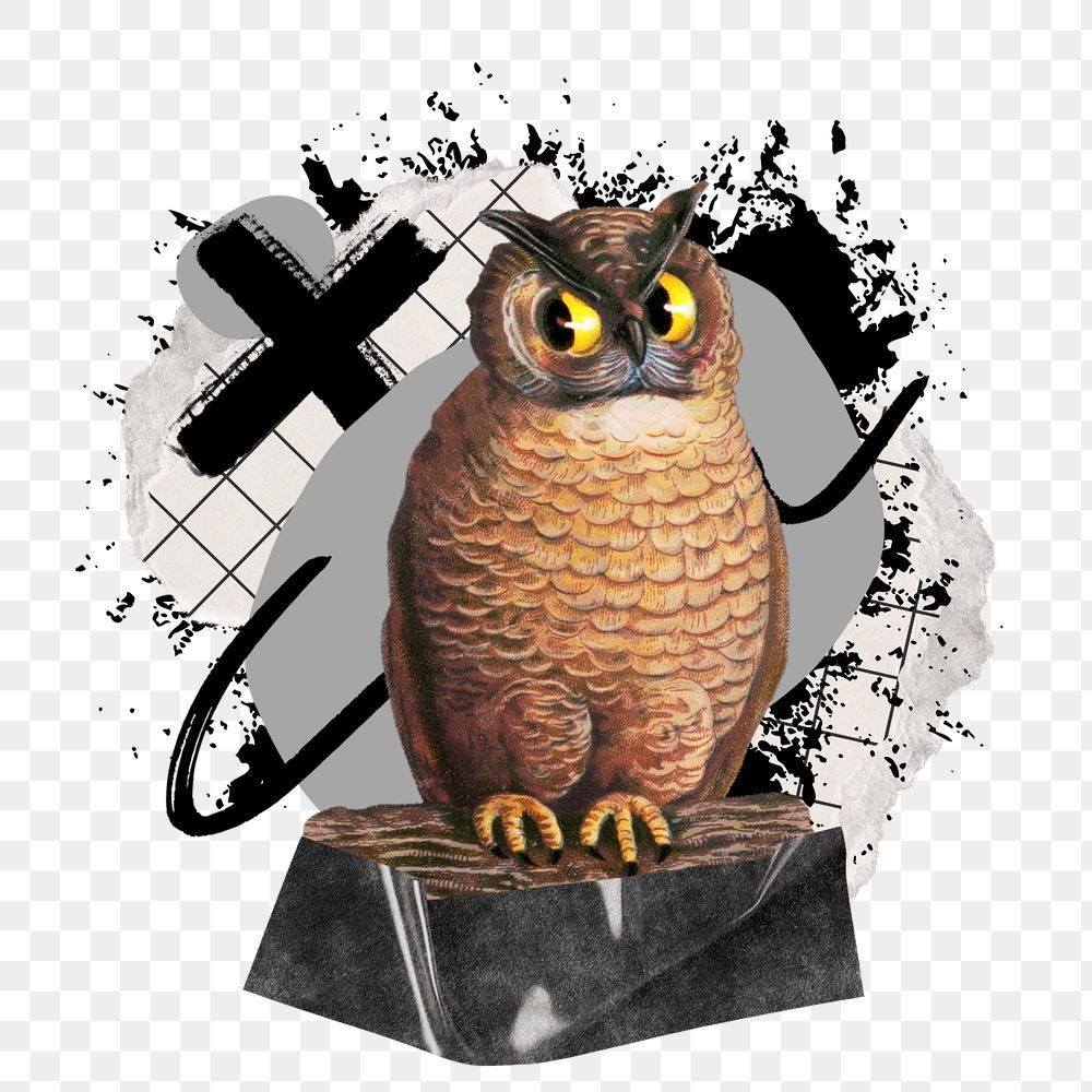 Owl png element, urban street, editable design