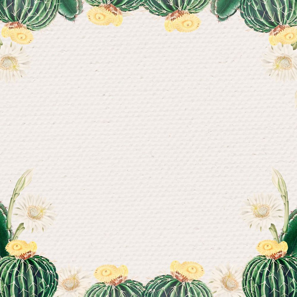 Aesthetic cactus border frame, editable botanical design