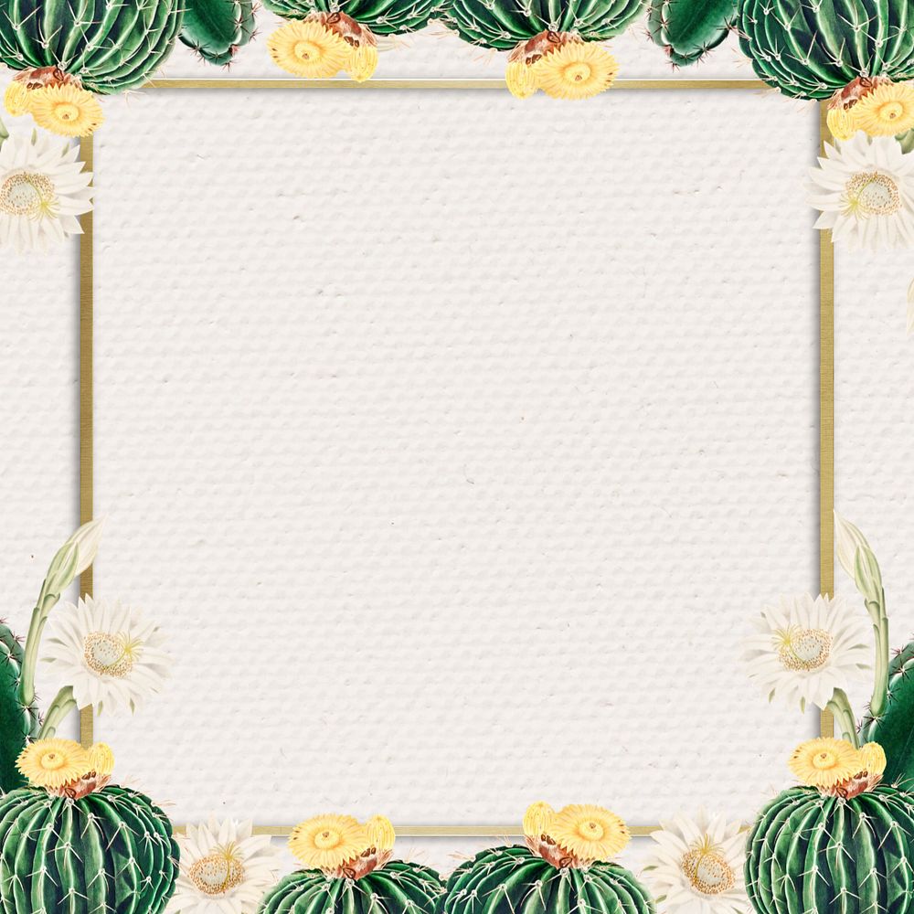 Aesthetic cactus border frame, editable botanical design