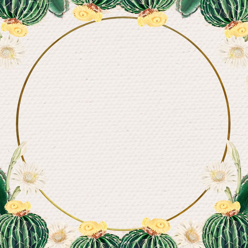 Aesthetic cactus border frame, editable botanical design