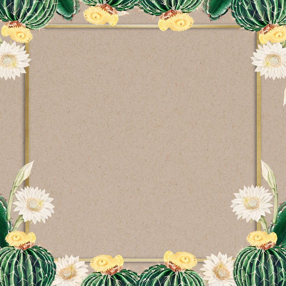 Watercolor cactus illustration frame, editable botanical design