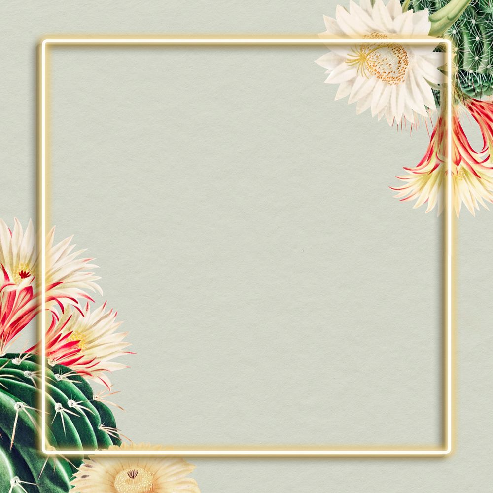 Aesthetic cactus border frame, editable botanical design