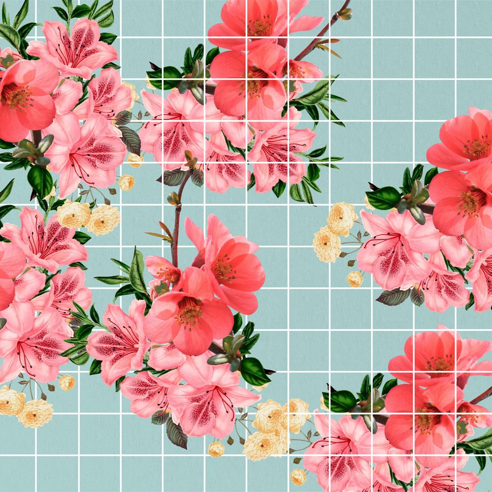 Chinese quince flower background, aesthetic grid design, editable design