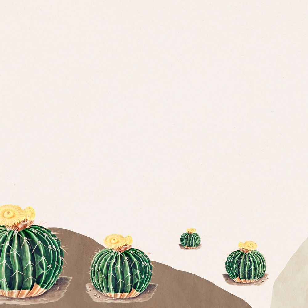 Cactus illustration border, editable background design