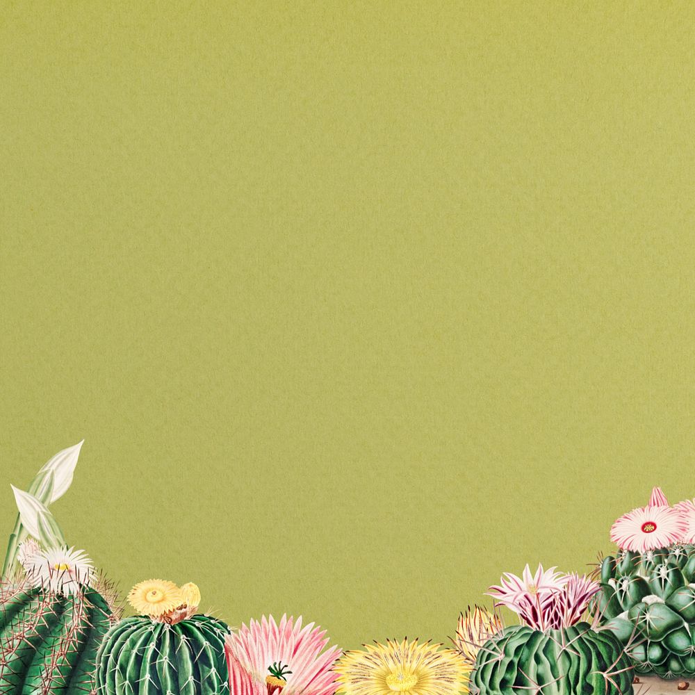 Cactus illustration border, editable background design