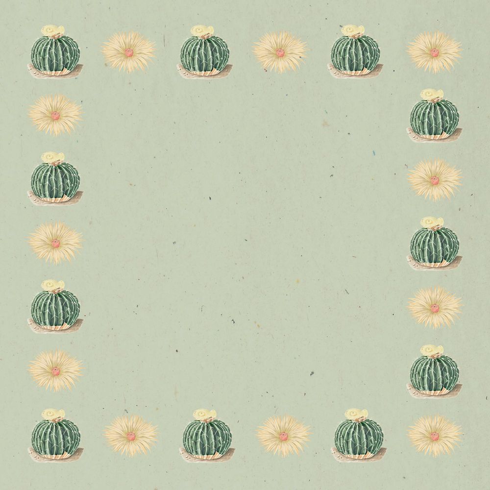 Cactus illustration border frame, editable background design