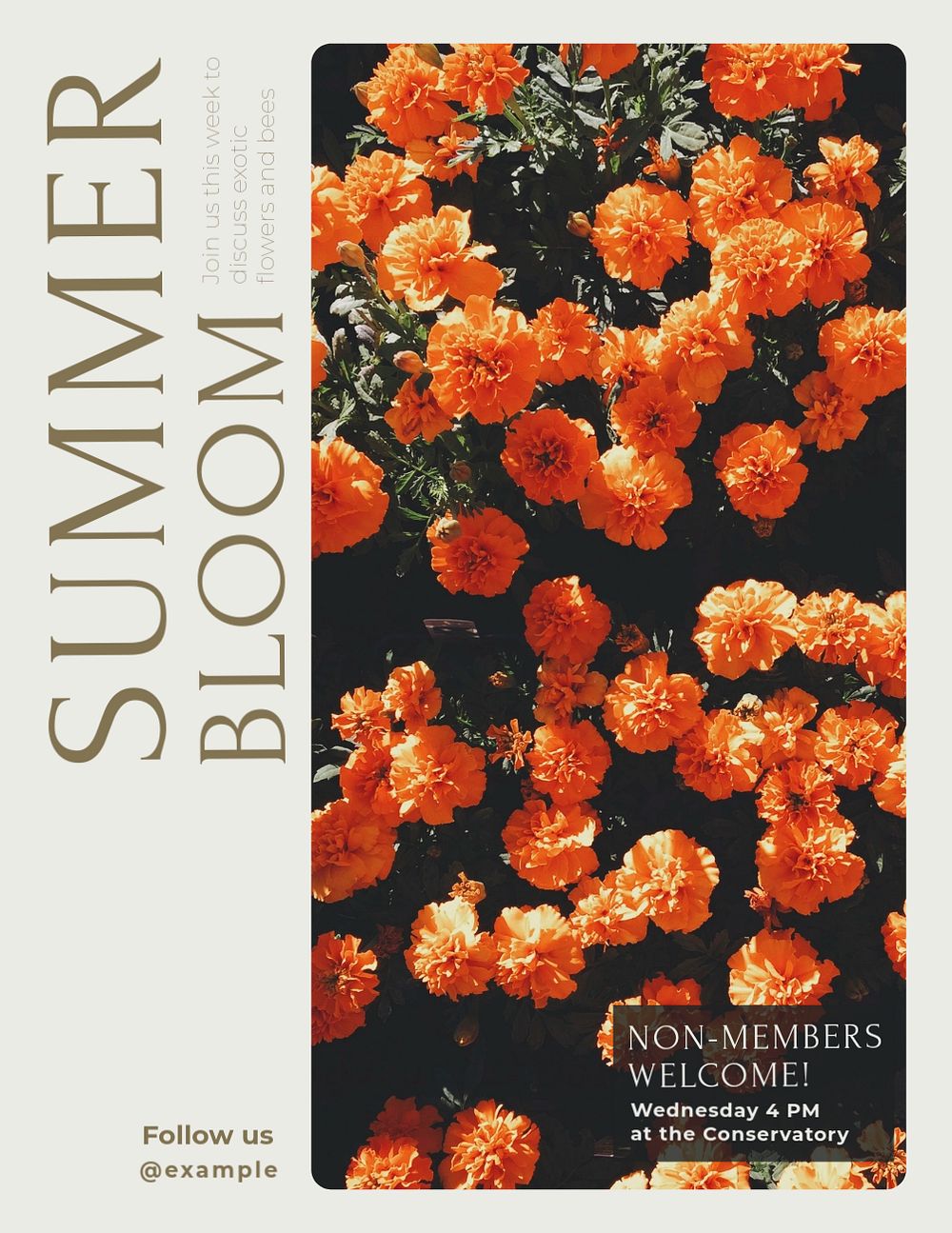 Summer bloom flyer template, editable text & design