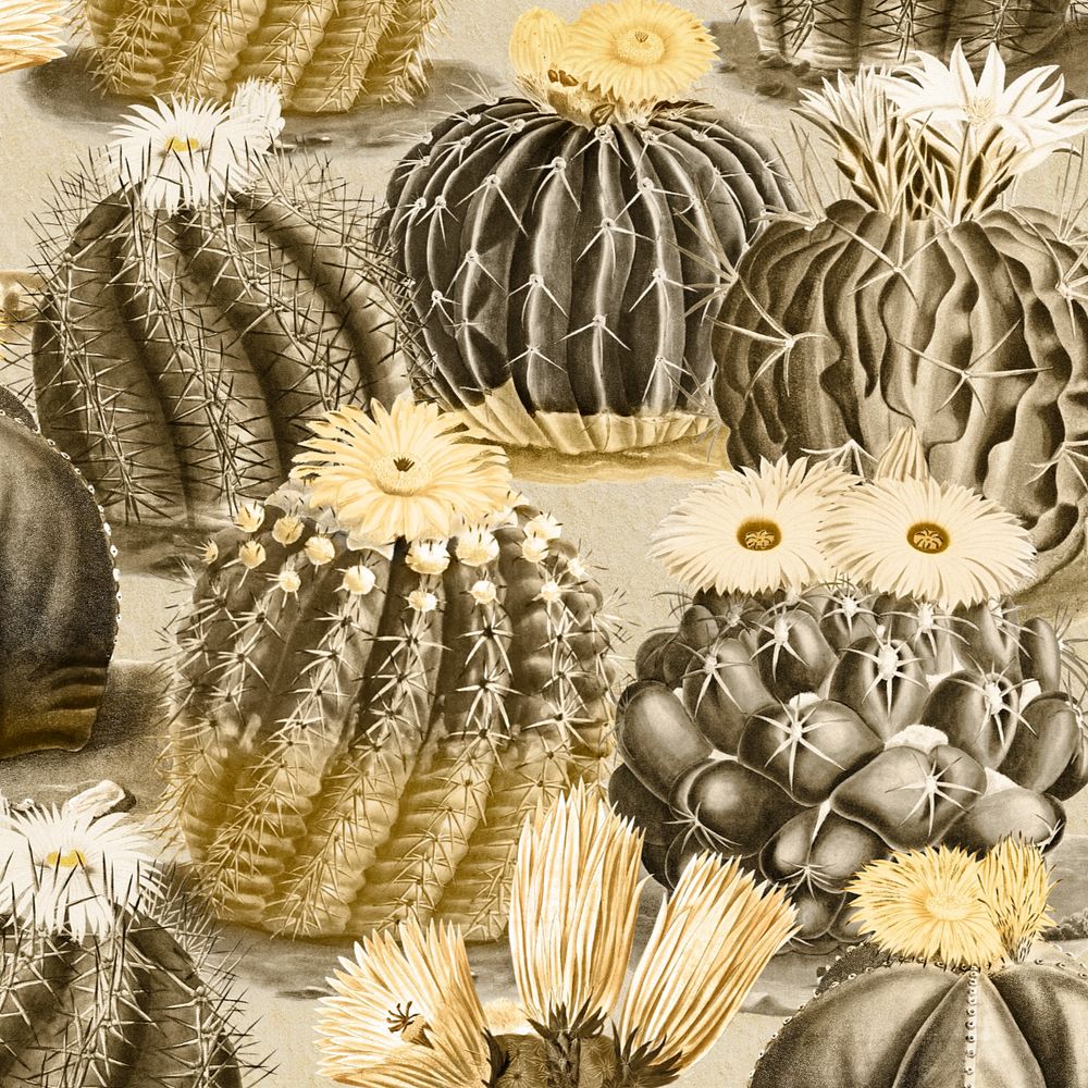 Cactus pattern illustration, editable botanical design