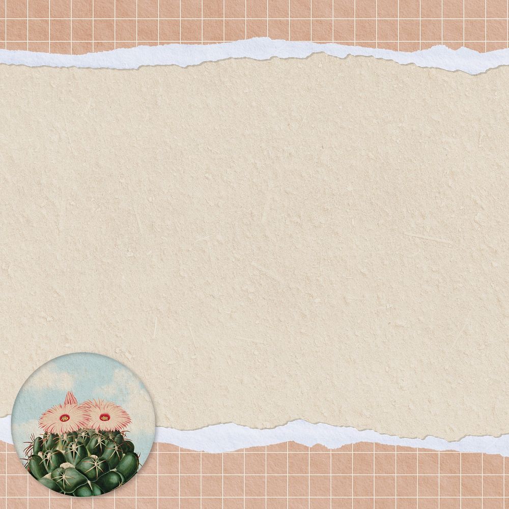 Cactus illustration border frame, editable background design