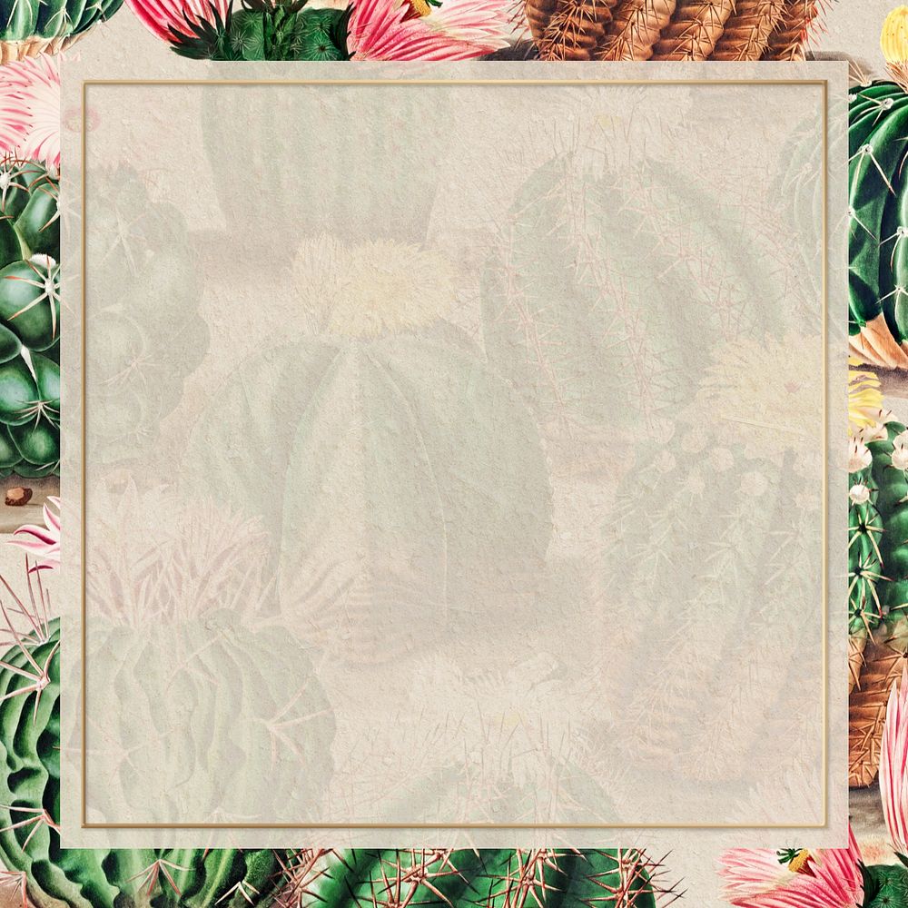 Vintage cactus border frame, editable botanical design