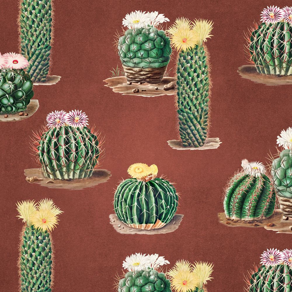 Cactus pattern illustration, editable botanical design