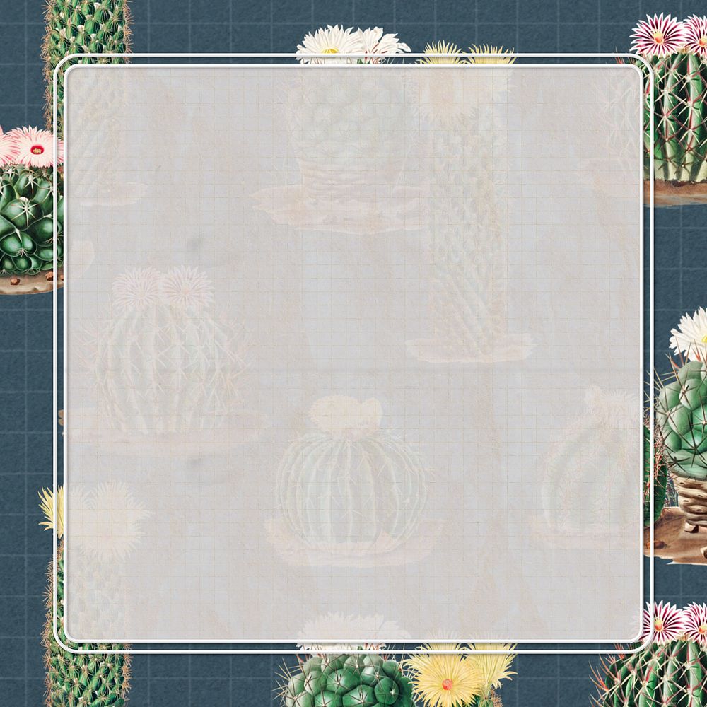 Blue cactus illustration border frame, editable botanical design