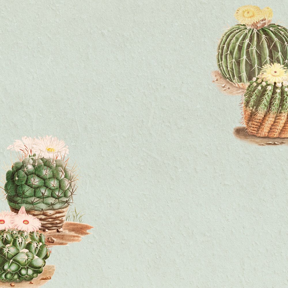 Cactus illustration border frame, editable background design