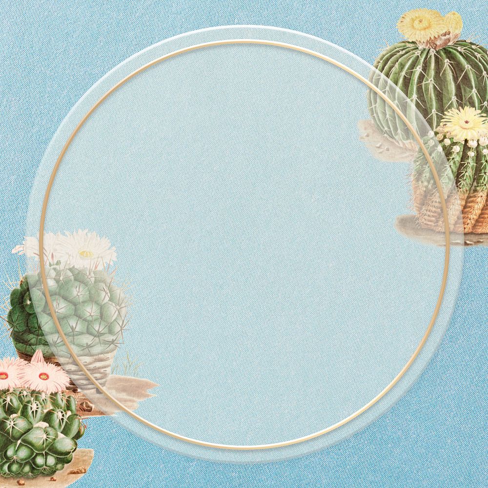 Blue cactus illustration border frame, editable botanical design