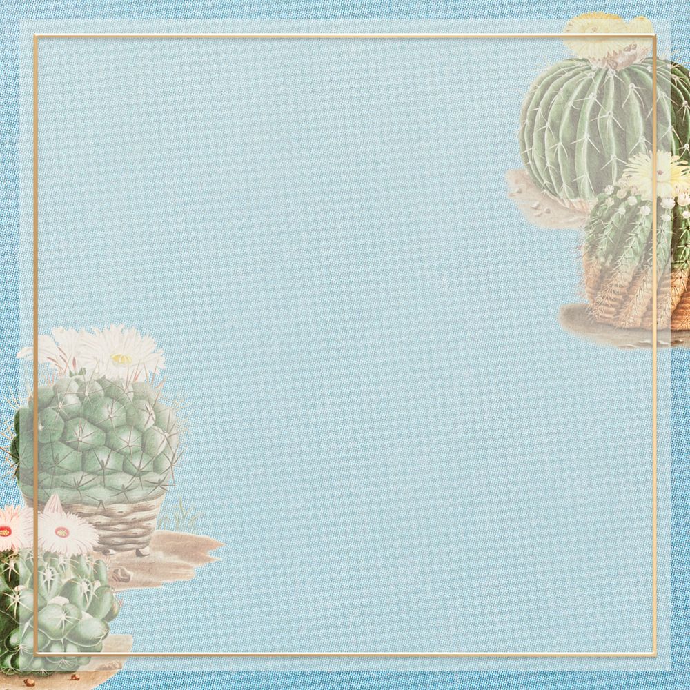Blue cactus illustration border frame, editable botanical design
