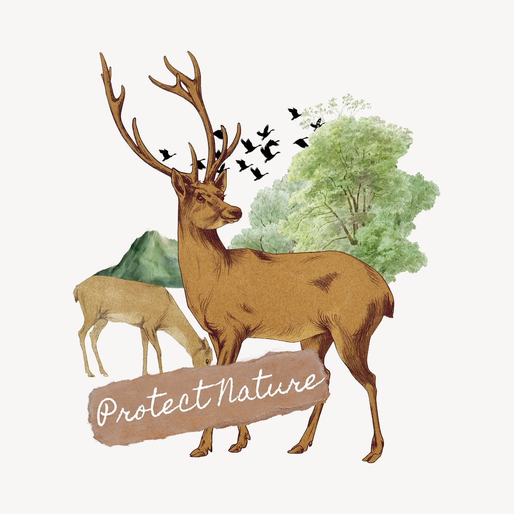 Protect nature word editable collage art