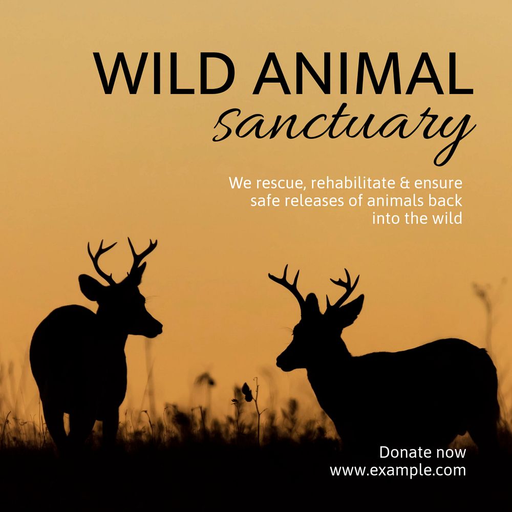 Wildlife sanctuary Instagram post template, editable text