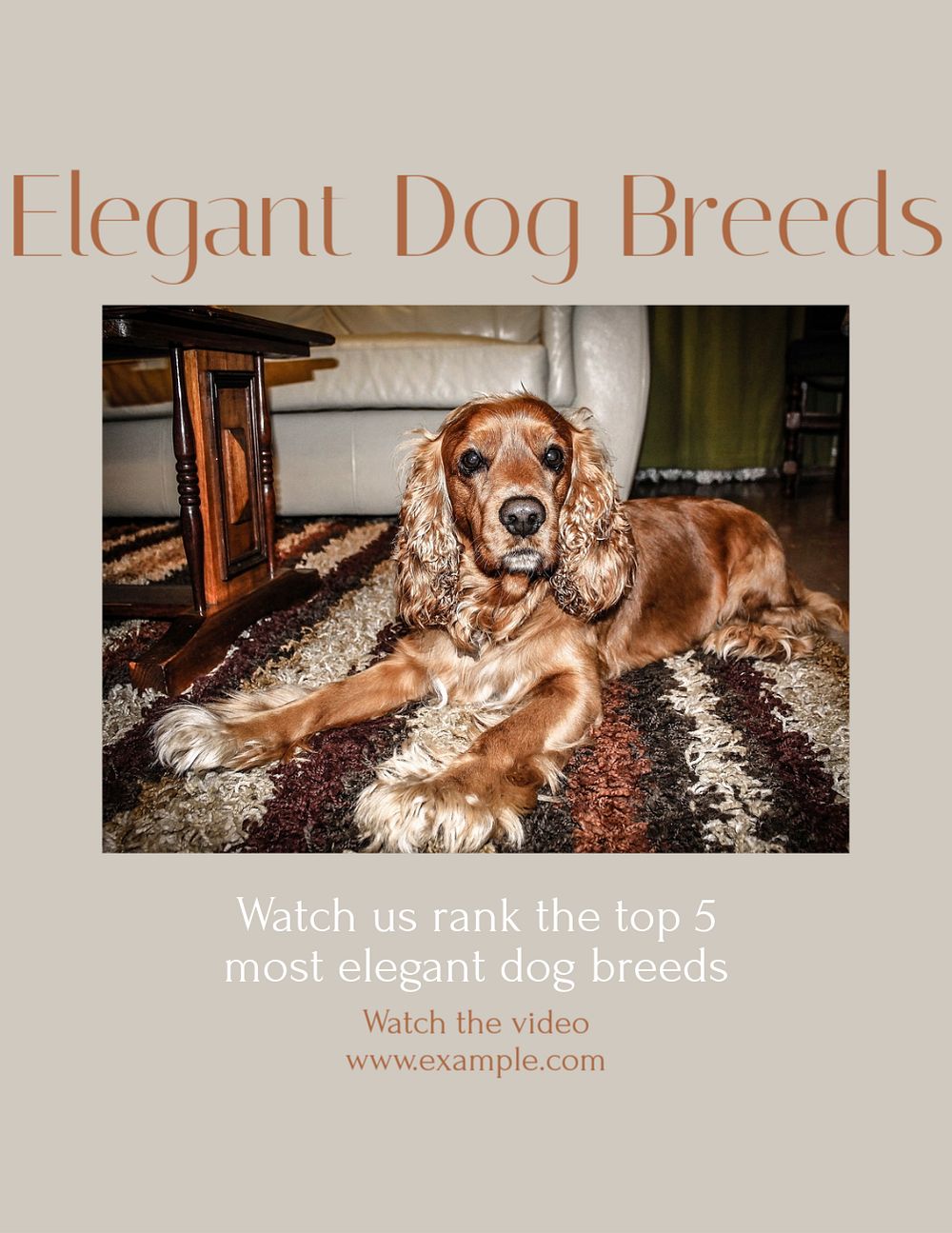 Elegant dog breeds flyer template, editable text & design