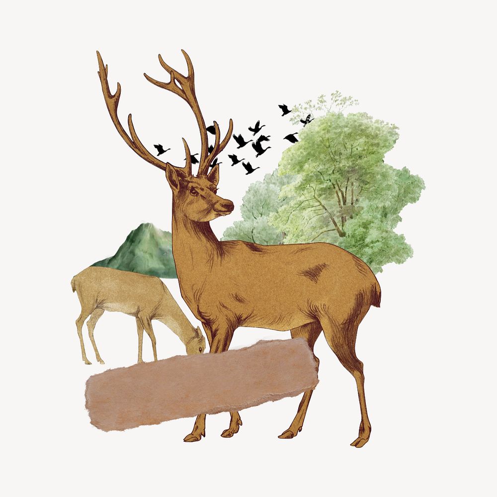 Stag deer note paper, wild animal editable collage art