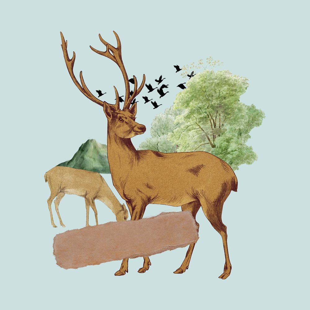 Stag deer note paper, wild animal editable collage art